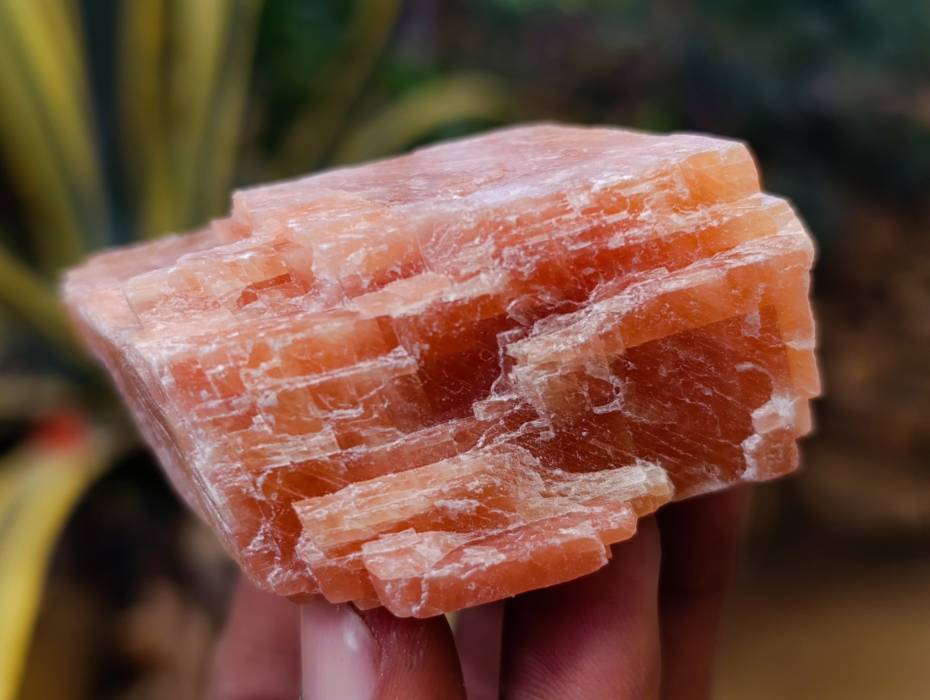 Natural Rhombohedral Sunset Orange Calcite Specimens x 12 From Spitzkop, Namibia - Toprock Gemstones and Minerals 