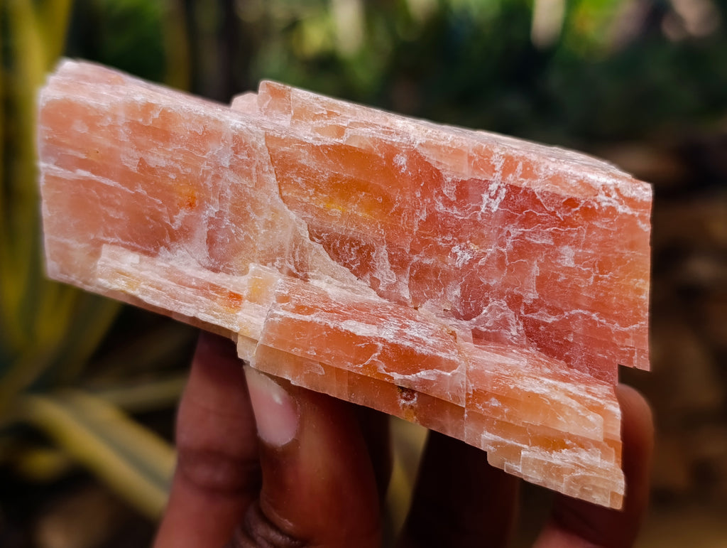 Natural Rhombohedral Sunset Orange Calcite Specimens x 12 From Spitzkop, Namibia - Toprock Gemstones and Minerals 