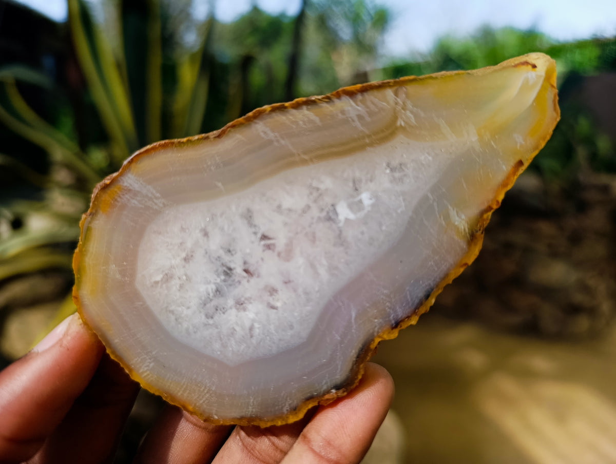 Polished Banded Agate Slices x 12 From Madagascar - Toprock Gemstones and Minerals 