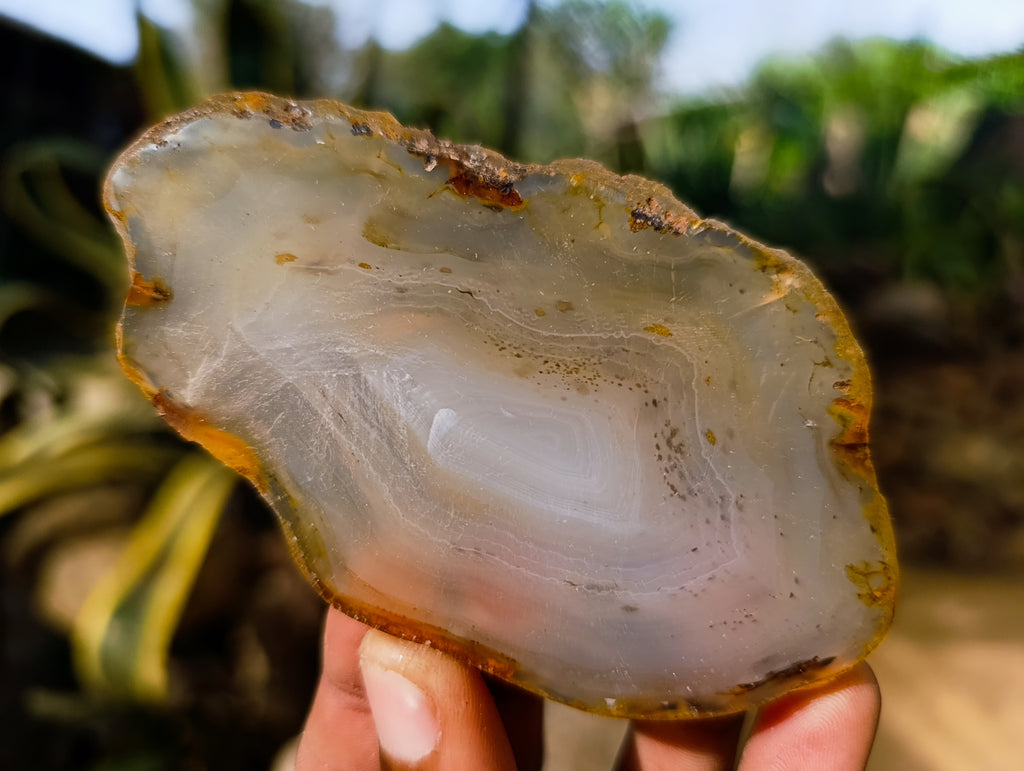 Polished Banded Agate Slices x 12 From Madagascar - Toprock Gemstones and Minerals 