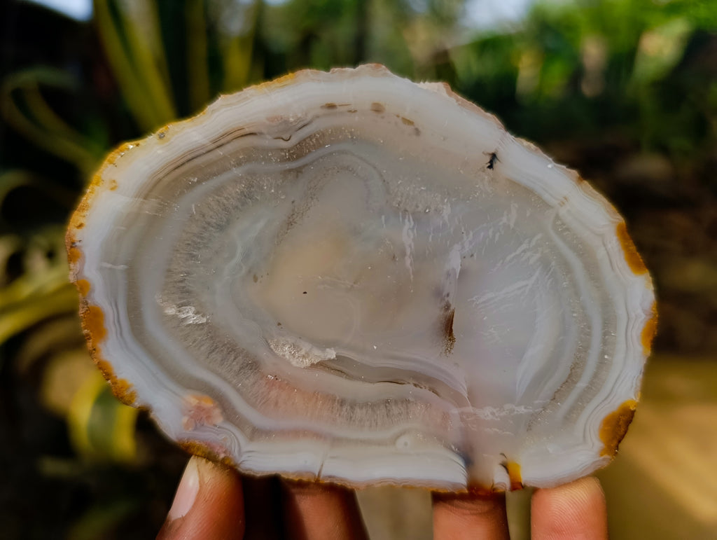 Polished Banded Agate Slices x 12 From Madagascar - Toprock Gemstones and Minerals 