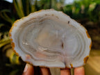 Polished Banded Agate Slices x 12 From Madagascar - Toprock Gemstones and Minerals 