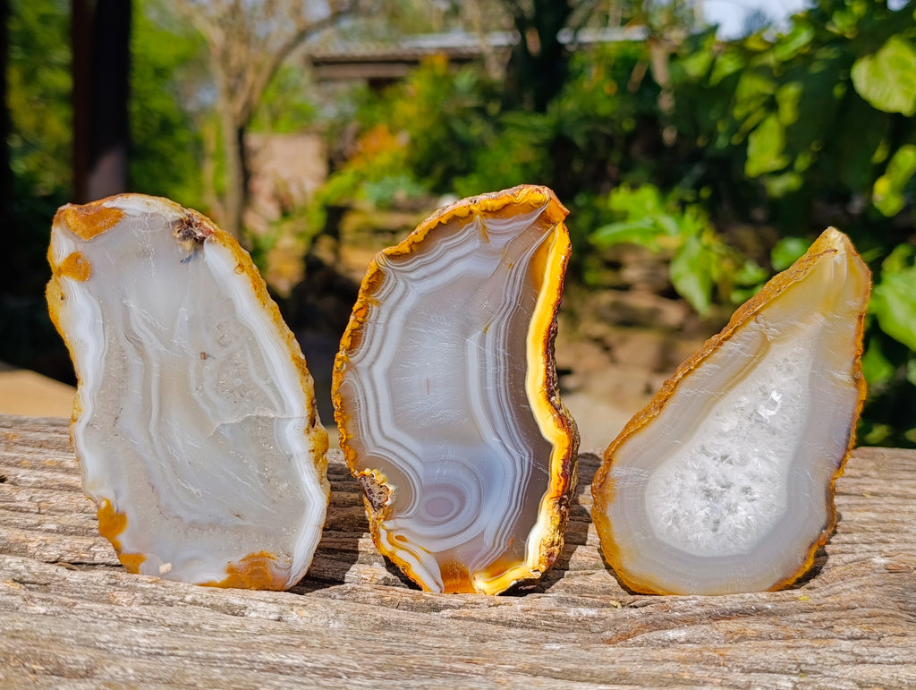 Polished Banded Agate Slices x 12 From Madagascar - Toprock Gemstones and Minerals 
