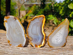 Polished Banded Agate Slices x 12 From Madagascar - Toprock Gemstones and Minerals 