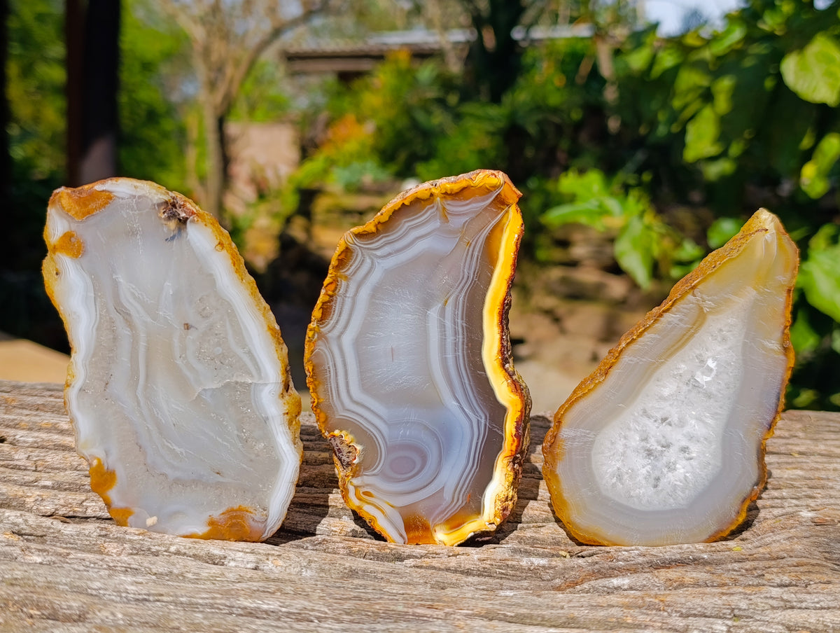 Polished Banded Agate Slices x 12 From Madagascar - Toprock Gemstones and Minerals 