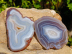 Polished Banded Agate Slices x 12 From Madagascar - Toprock Gemstones and Minerals 