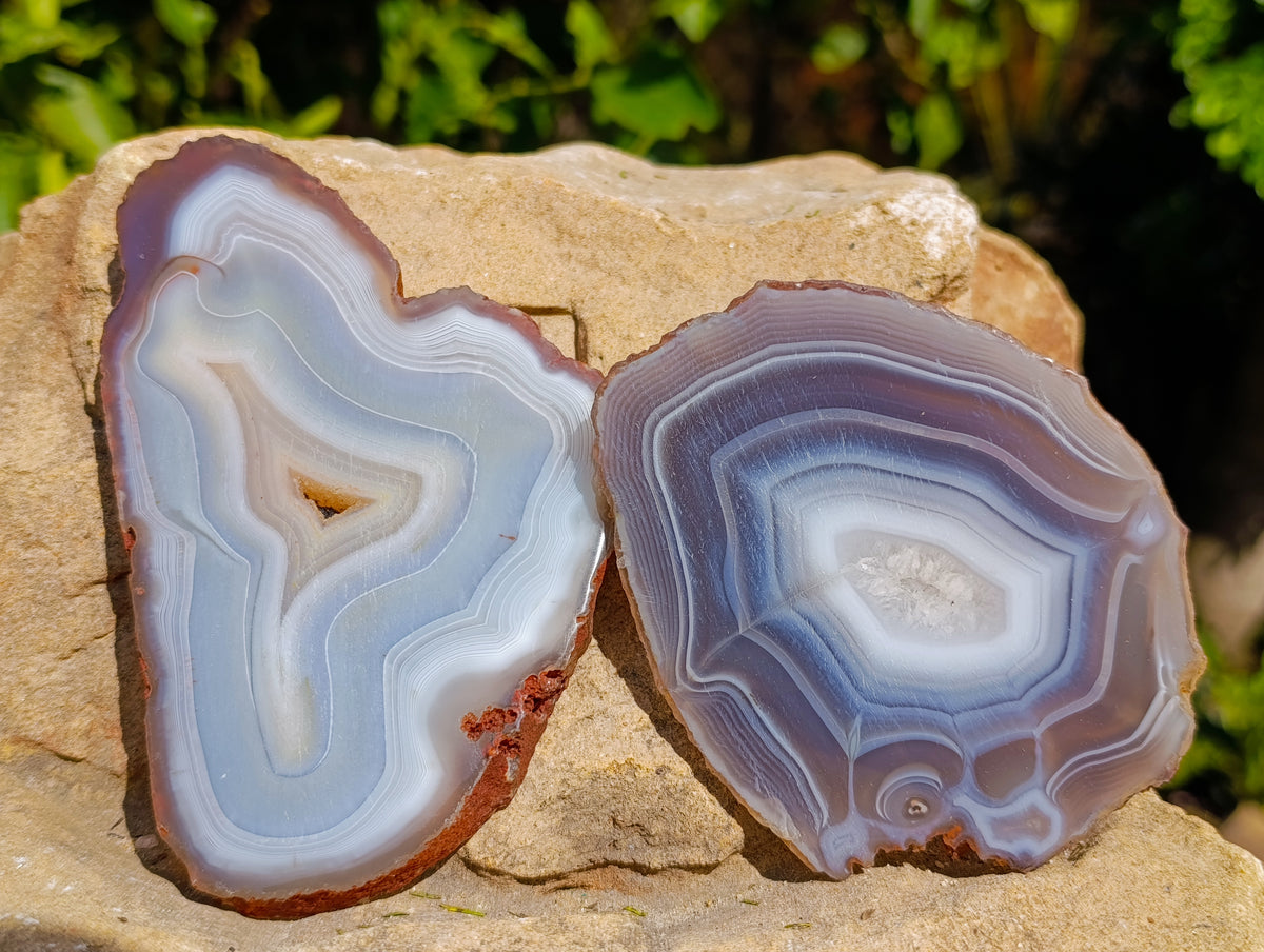 Polished Banded Agate Slices x 12 From Madagascar - Toprock Gemstones and Minerals 