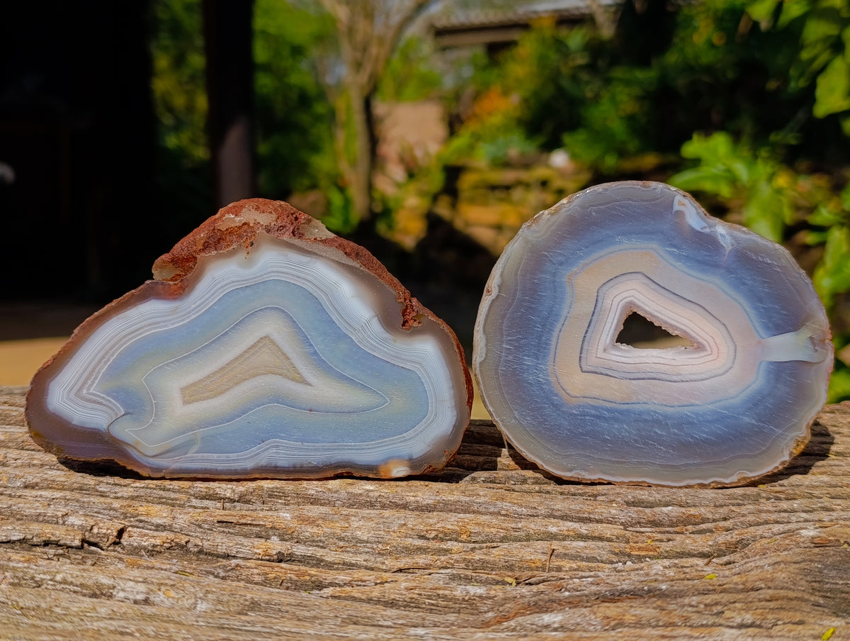 Polished Banded Agate Slices x 12 From Madagascar - Toprock Gemstones and Minerals 