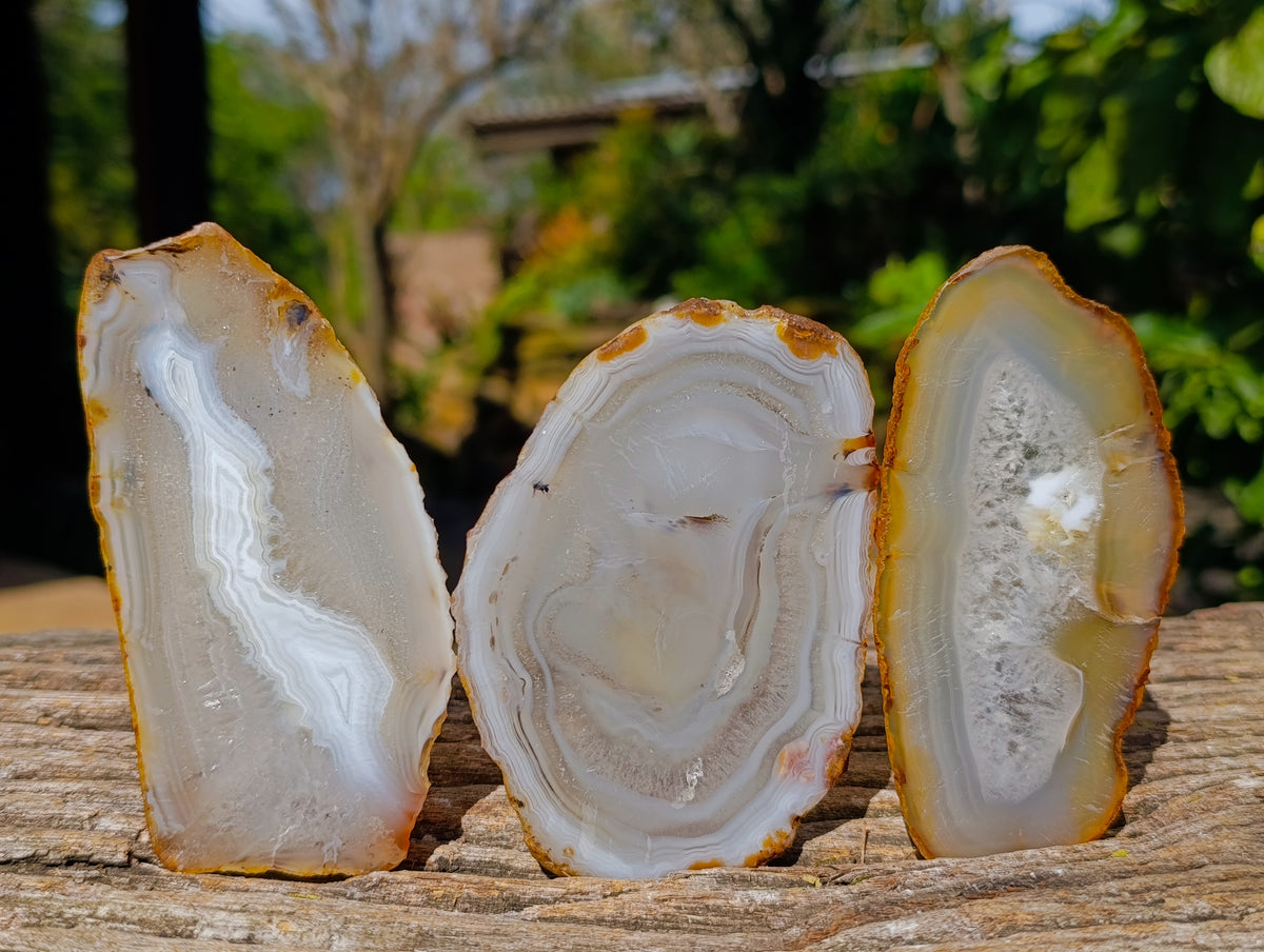 Polished Banded Agate Slices x 12 From Madagascar - Toprock Gemstones and Minerals 