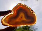 Polished Banded Agate Slices x 12 From Madagascar - Toprock Gemstones and Minerals 