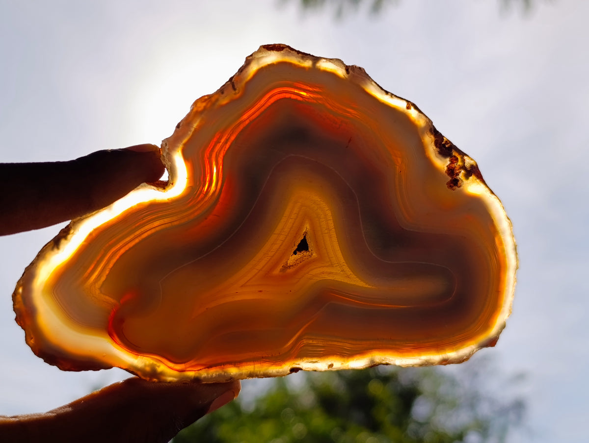 Polished Banded Agate Slices x 12 From Madagascar - Toprock Gemstones and Minerals 