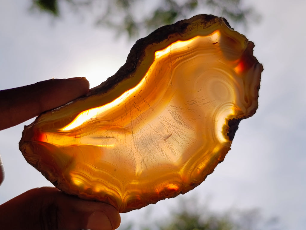 Polished Banded Agate Slices x 12 From Madagascar - Toprock Gemstones and Minerals 
