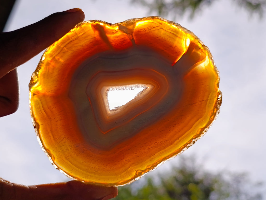Polished Banded Agate Slices x 12 From Madagascar - Toprock Gemstones and Minerals 