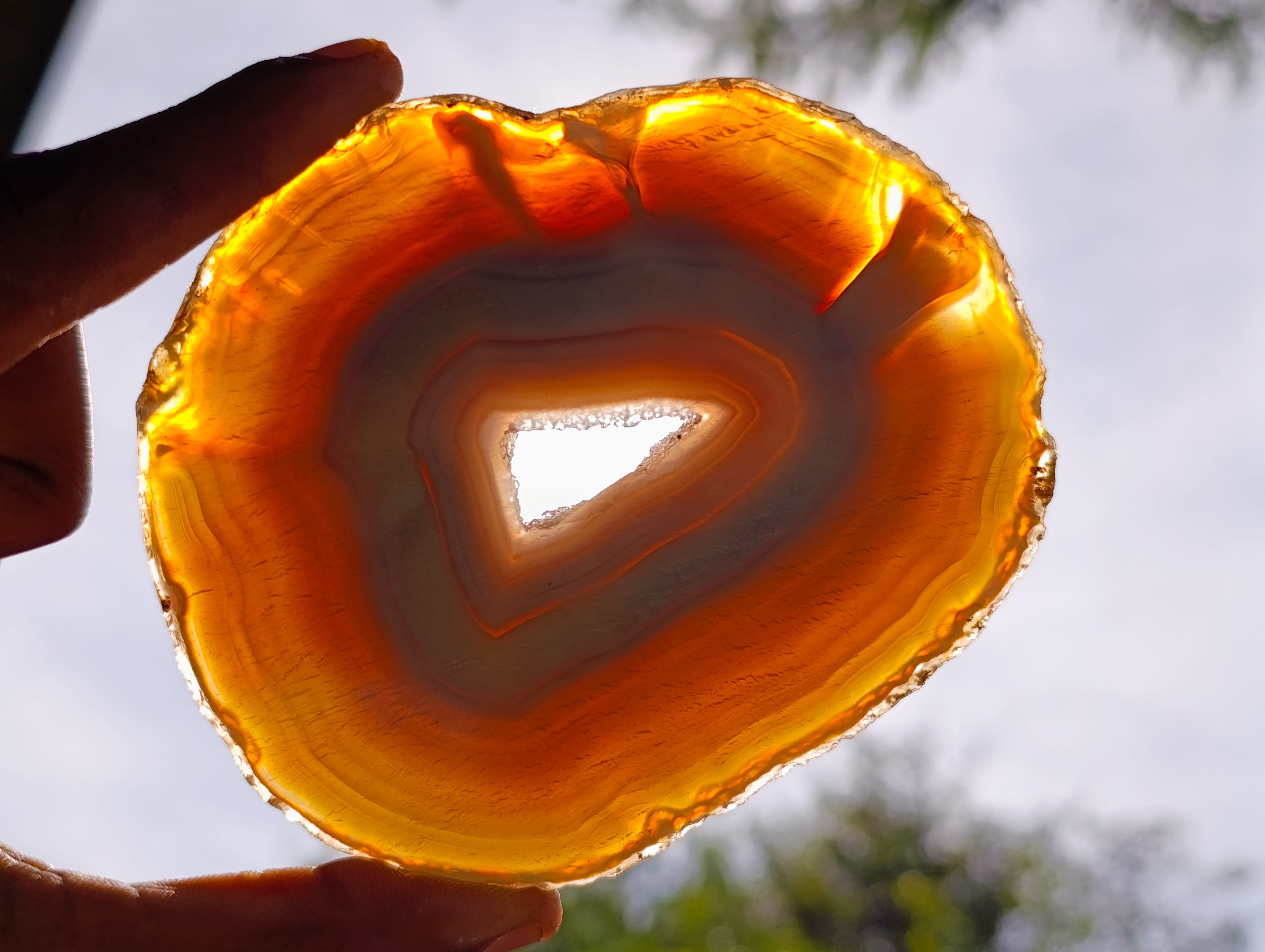Polished Banded Agate Slices x 12 From Madagascar - Toprock Gemstones and Minerals 
