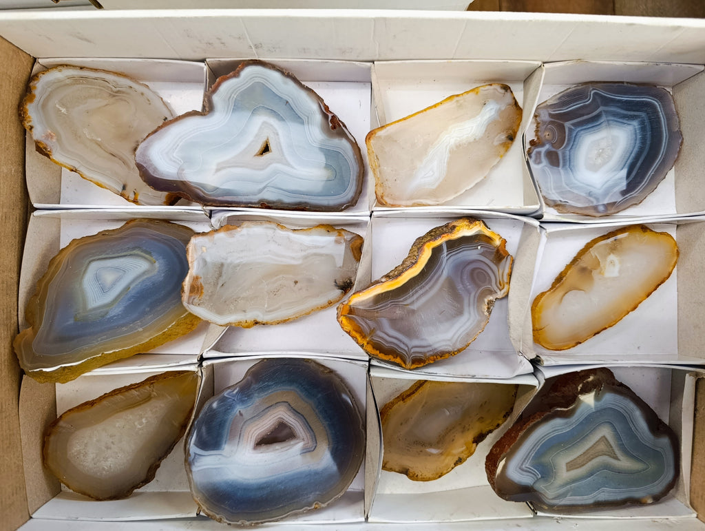 Polished Banded Agate Slices x 12 From Madagascar - Toprock Gemstones and Minerals 
