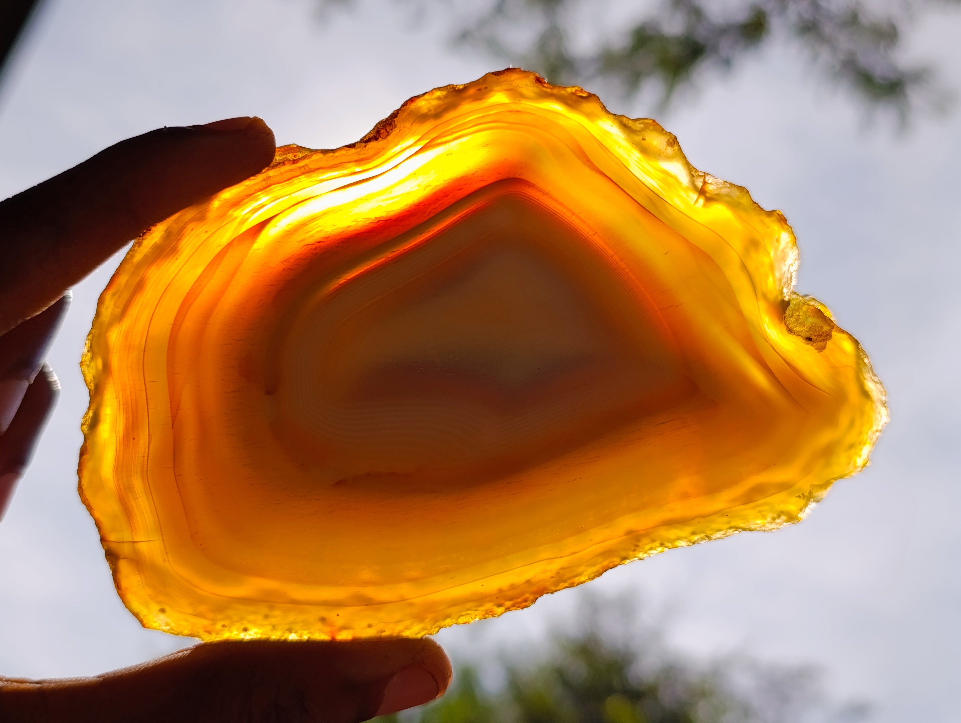 Polished Banded Agate Slices x 12 From Madagascar - Toprock Gemstones and Minerals 