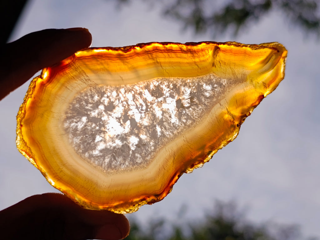 Polished Banded Agate Slices x 12 From Madagascar - Toprock Gemstones and Minerals 