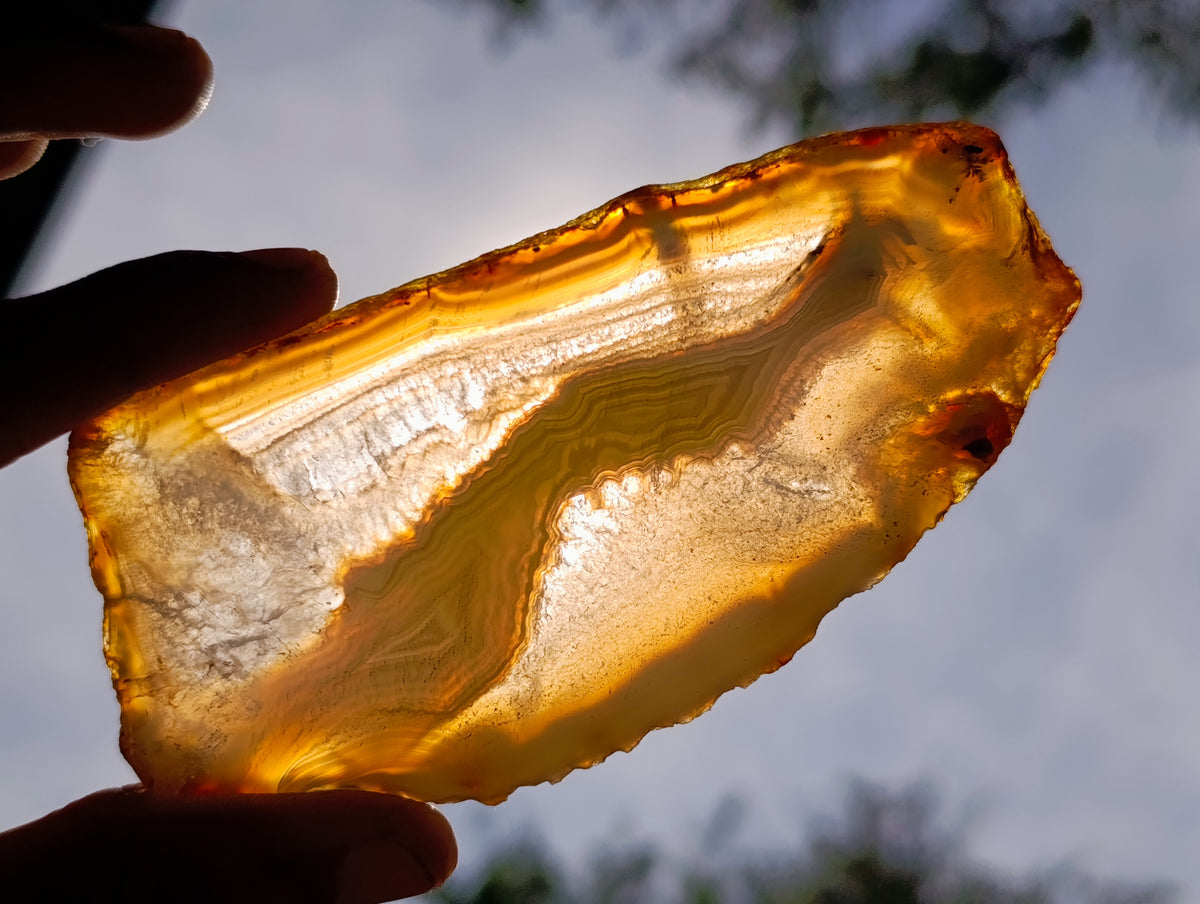 Polished Banded Agate Slices x 12 From Madagascar - Toprock Gemstones and Minerals 