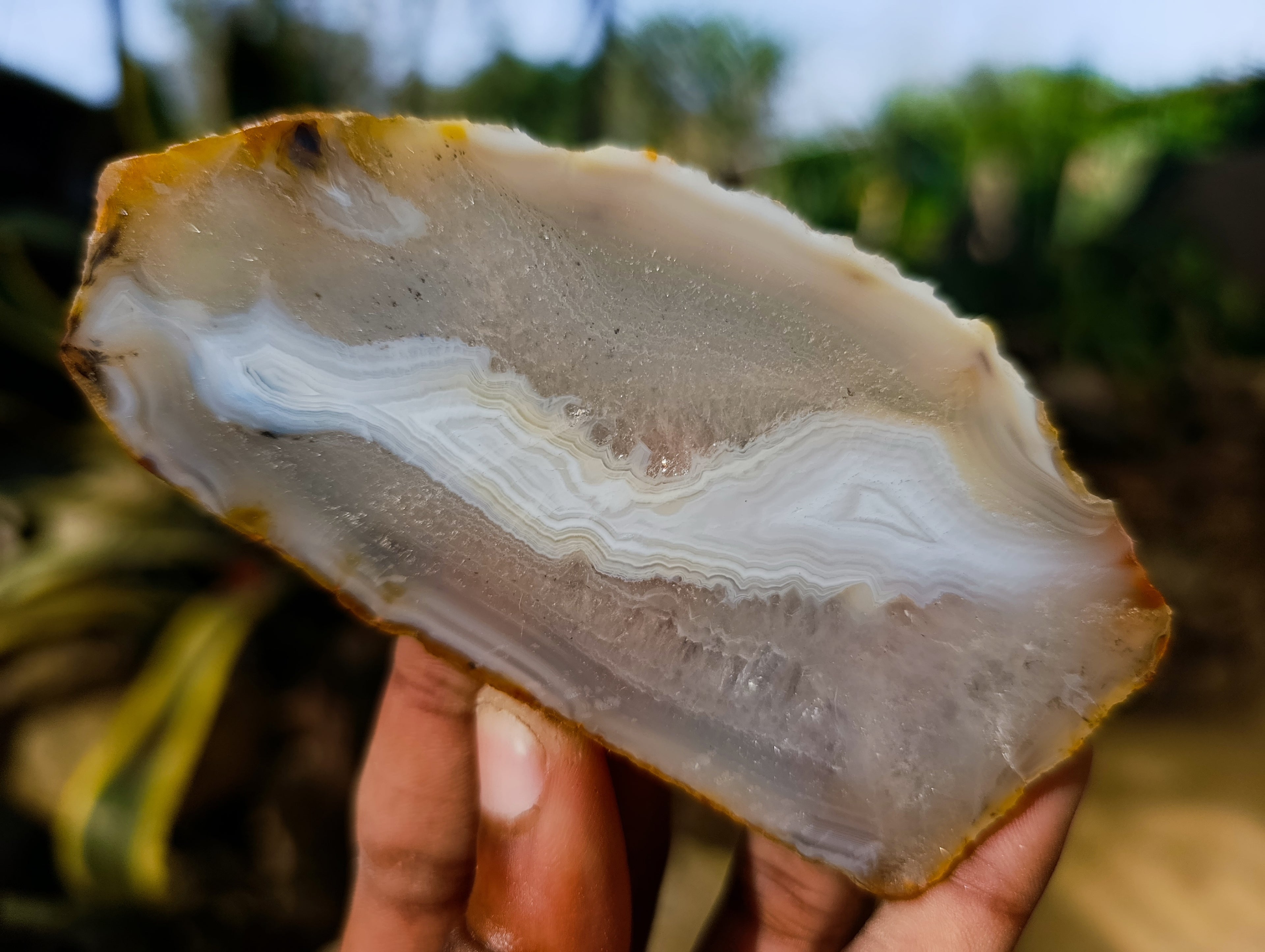 Polished Banded Agate Slices x 12 From Madagascar - Toprock Gemstones and Minerals 