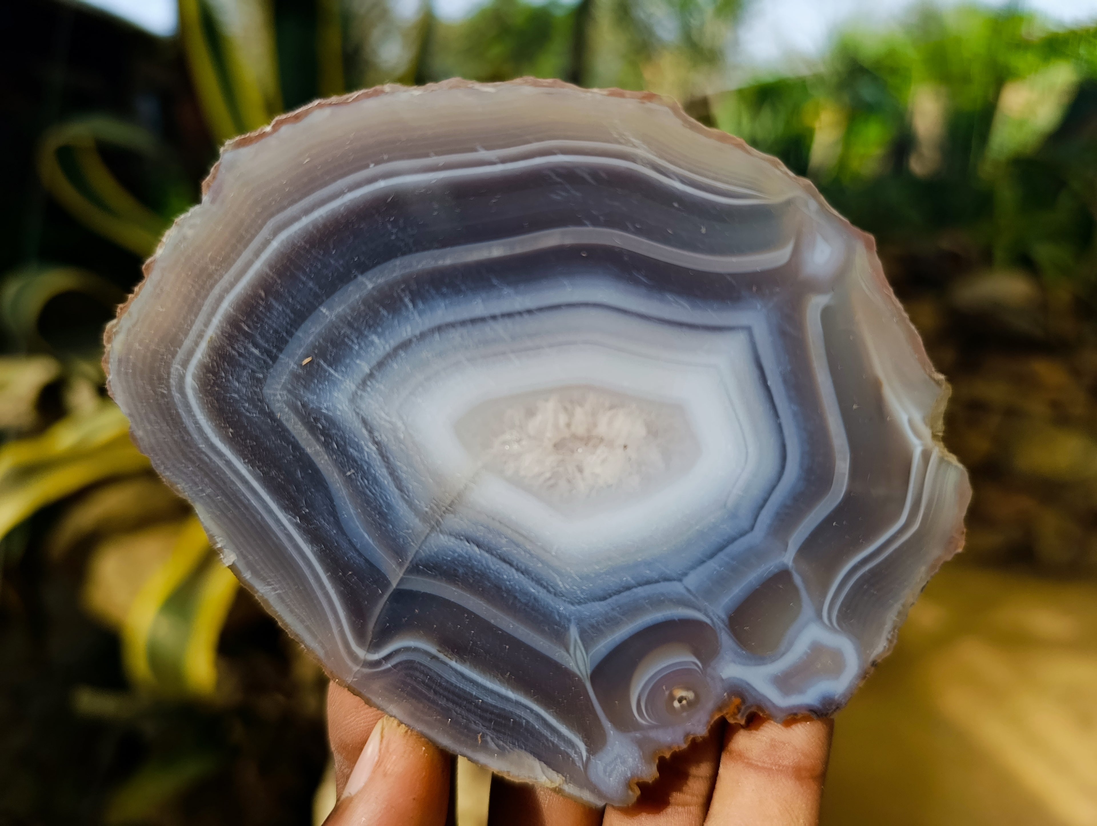 Polished Banded Agate Slices x 12 From Madagascar - Toprock Gemstones and Minerals 