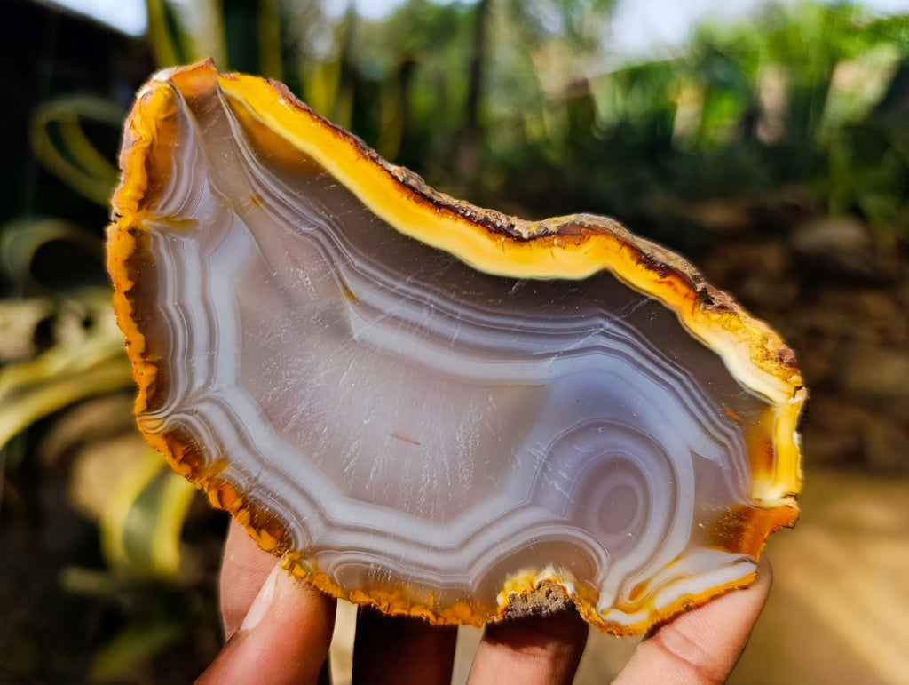 Polished Banded Agate Slices x 12 From Madagascar - Toprock Gemstones and Minerals 