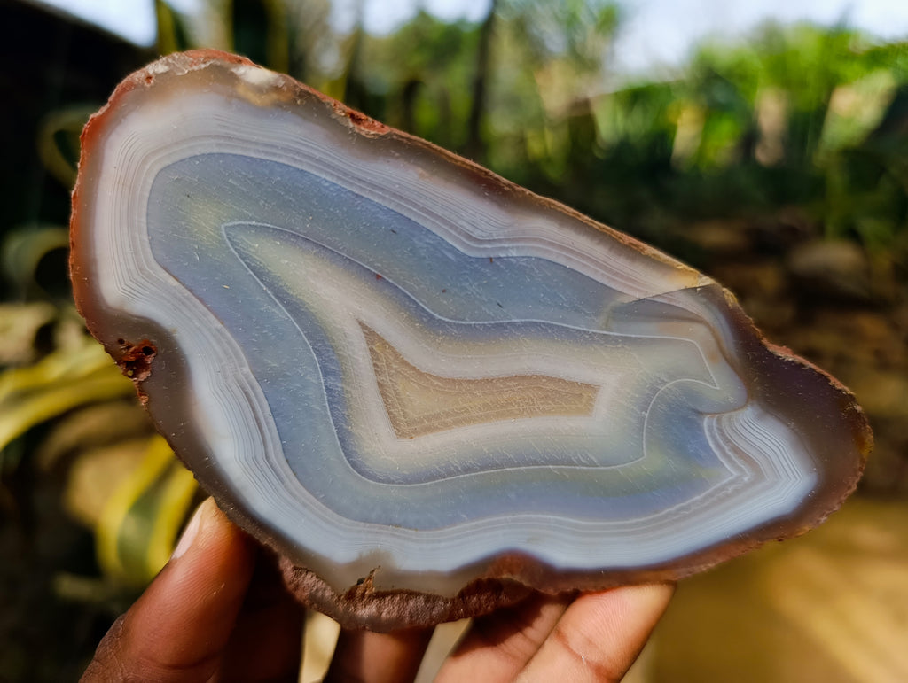 Polished Banded Agate Slices x 12 From Madagascar - Toprock Gemstones and Minerals 