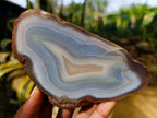 Polished Banded Agate Slices x 12 From Madagascar - Toprock Gemstones and Minerals 