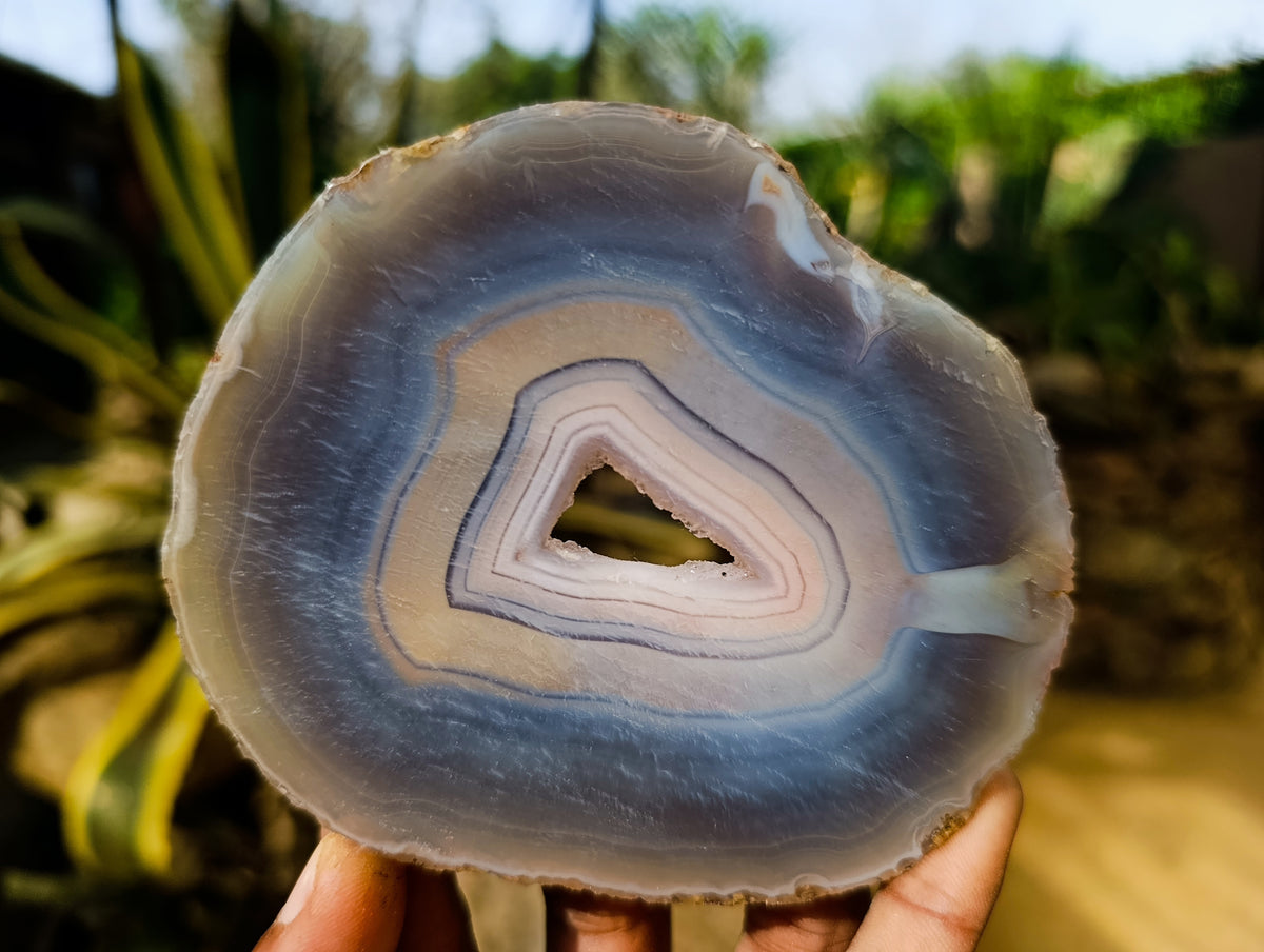 Polished Banded Agate Slices x 12 From Madagascar - Toprock Gemstones and Minerals 
