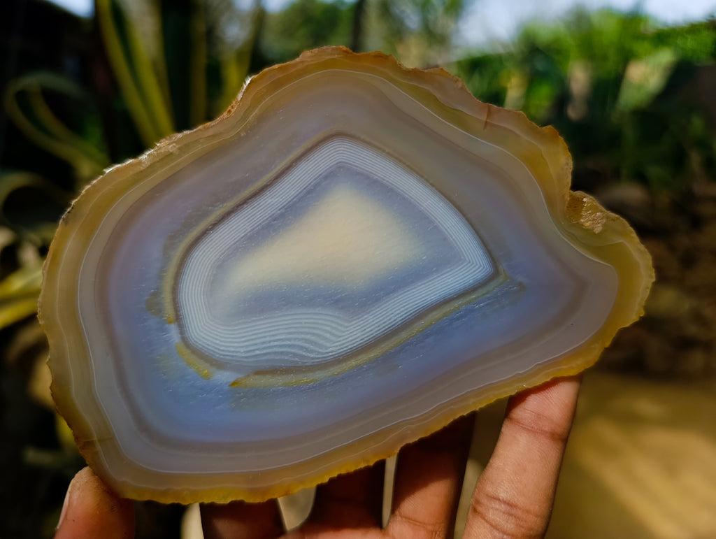 Polished Banded Agate Slices x 12 From Madagascar - Toprock Gemstones and Minerals 