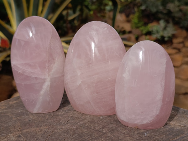 Polished Rose Quartz Standing Free Forms x 3 From Ambatondrazaka, Madagascar - Toprock Gemstones and Minerals 