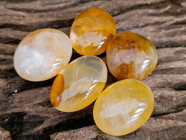 Polished Golden Healer Galet-Palm Stones x 35 From Madagascar