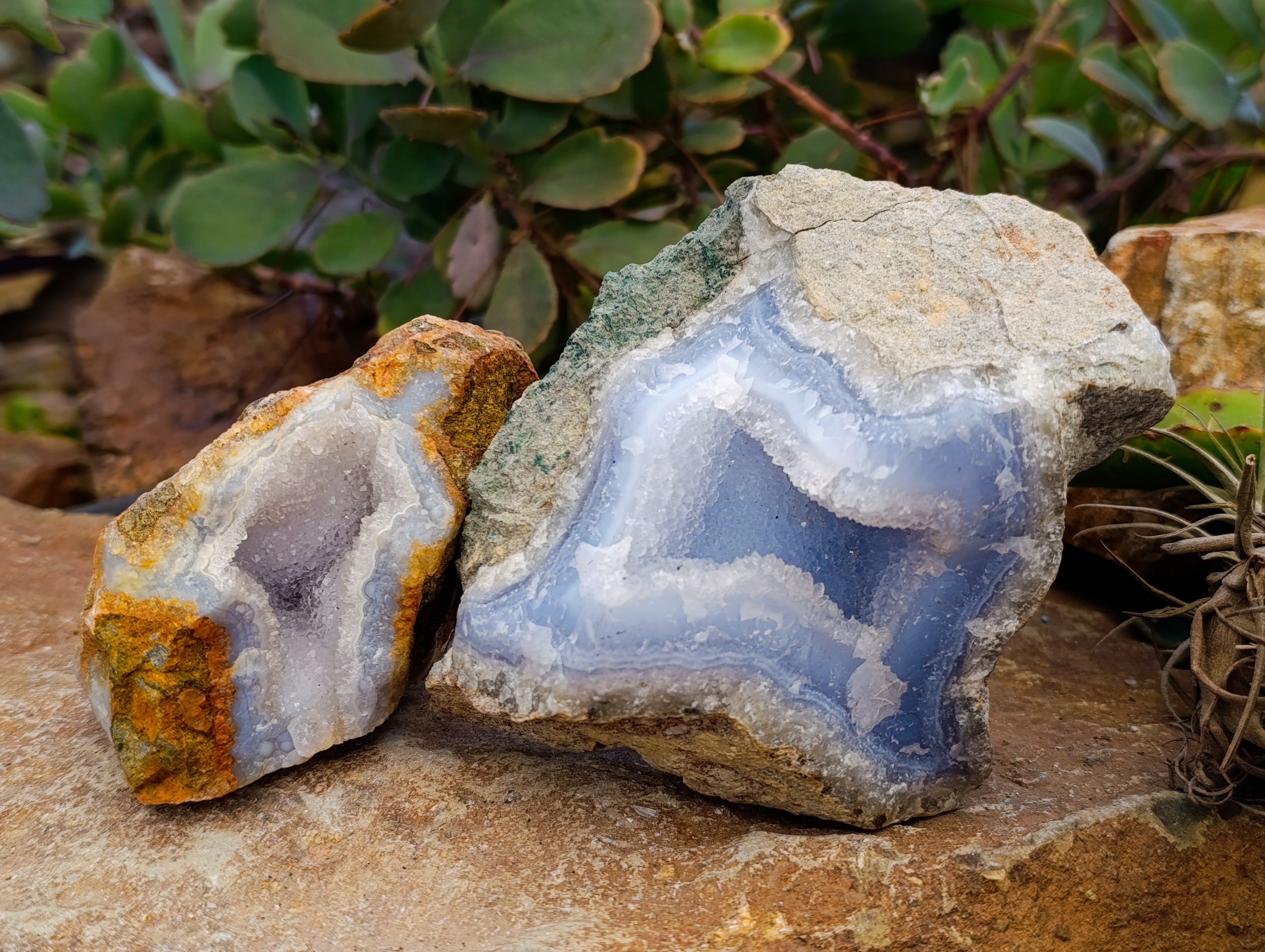 Natural Blue Lace Agate Geodes x 4 From Nsanje, Malawi - Toprock Gemstones and Minerals 