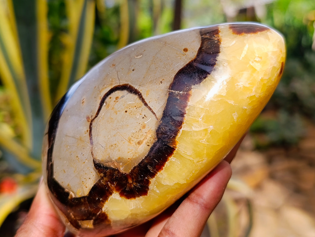 Polished Septerye Standing Free Forms x 2 From Mahajanga, Madagascar - Toprock Gemstones and Minerals 