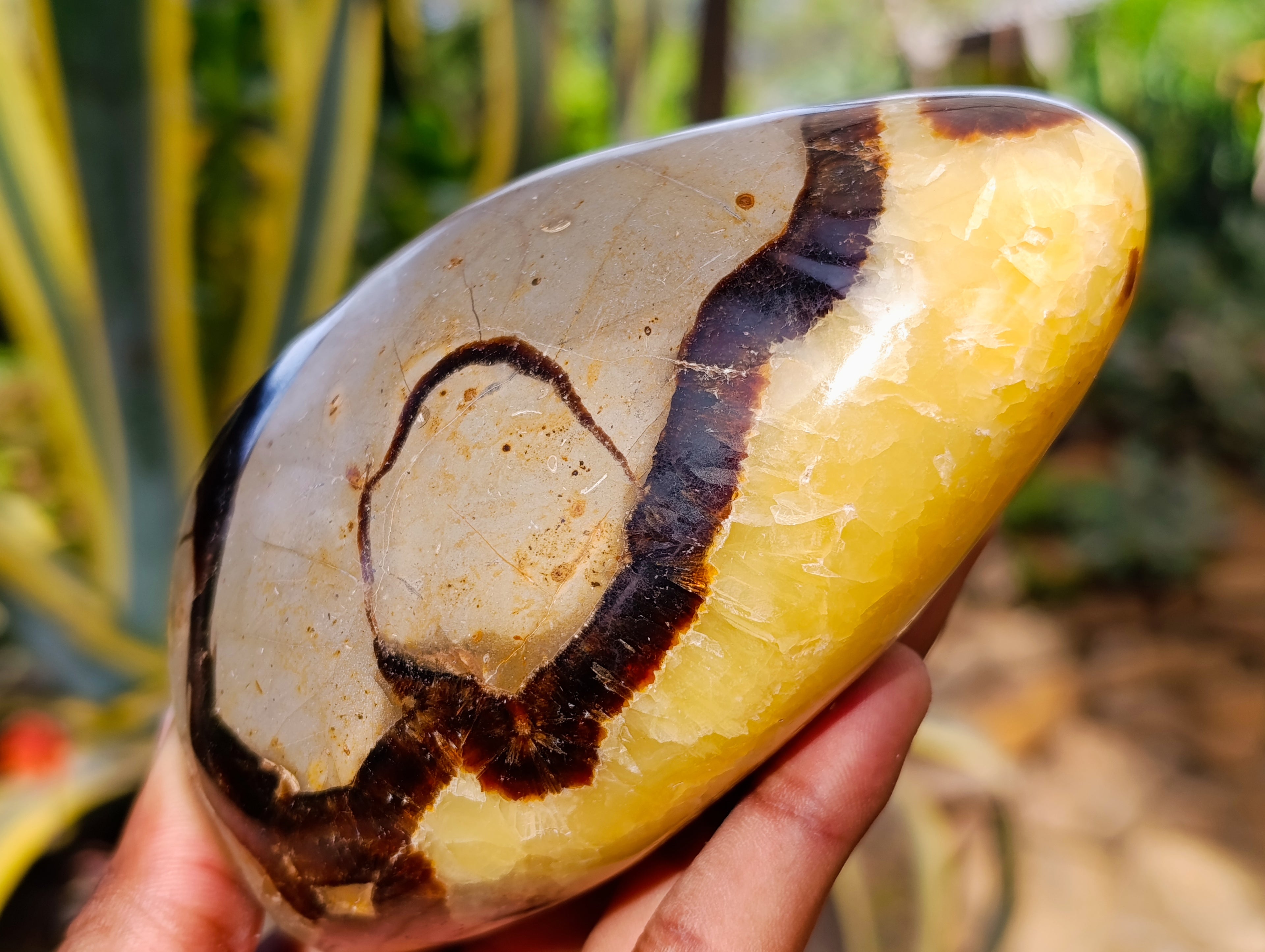 Polished Septerye Standing Free Forms x 2 From Mahajanga, Madagascar - Toprock Gemstones and Minerals 