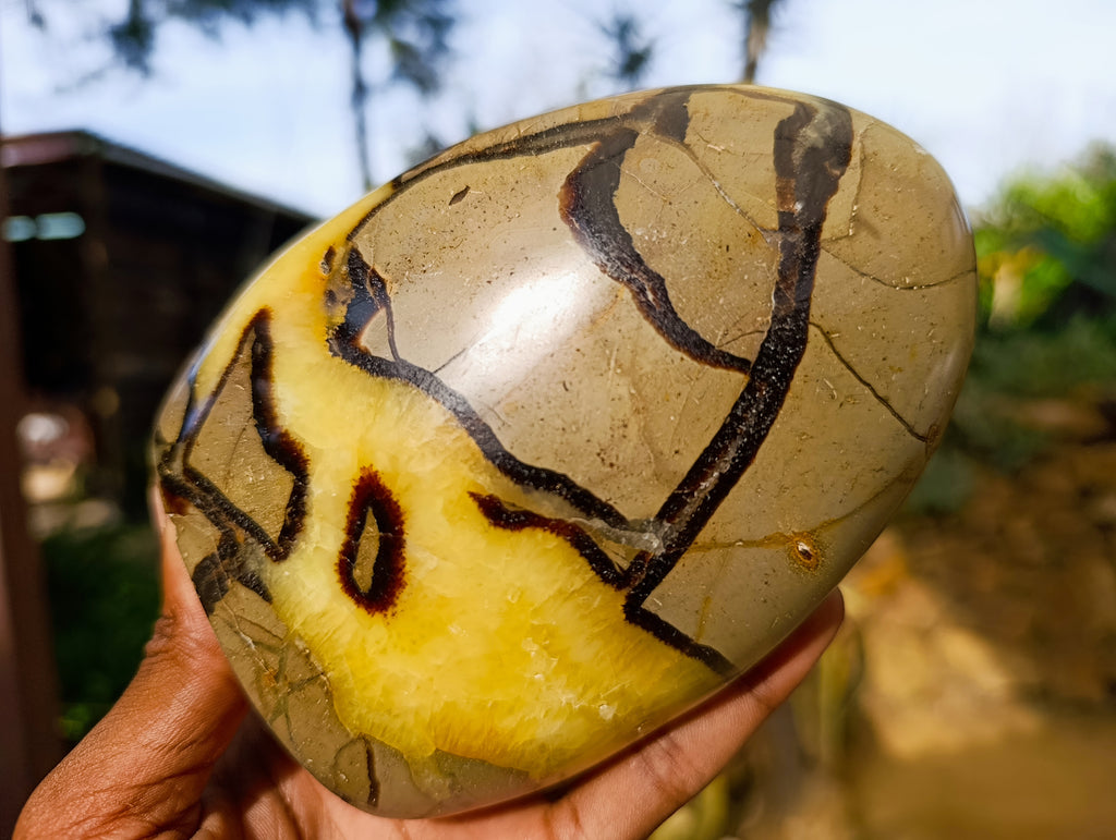 Polished Septerye Standing Free Forms x 2 From Mahajanga, Madagascar - Toprock Gemstones and Minerals 