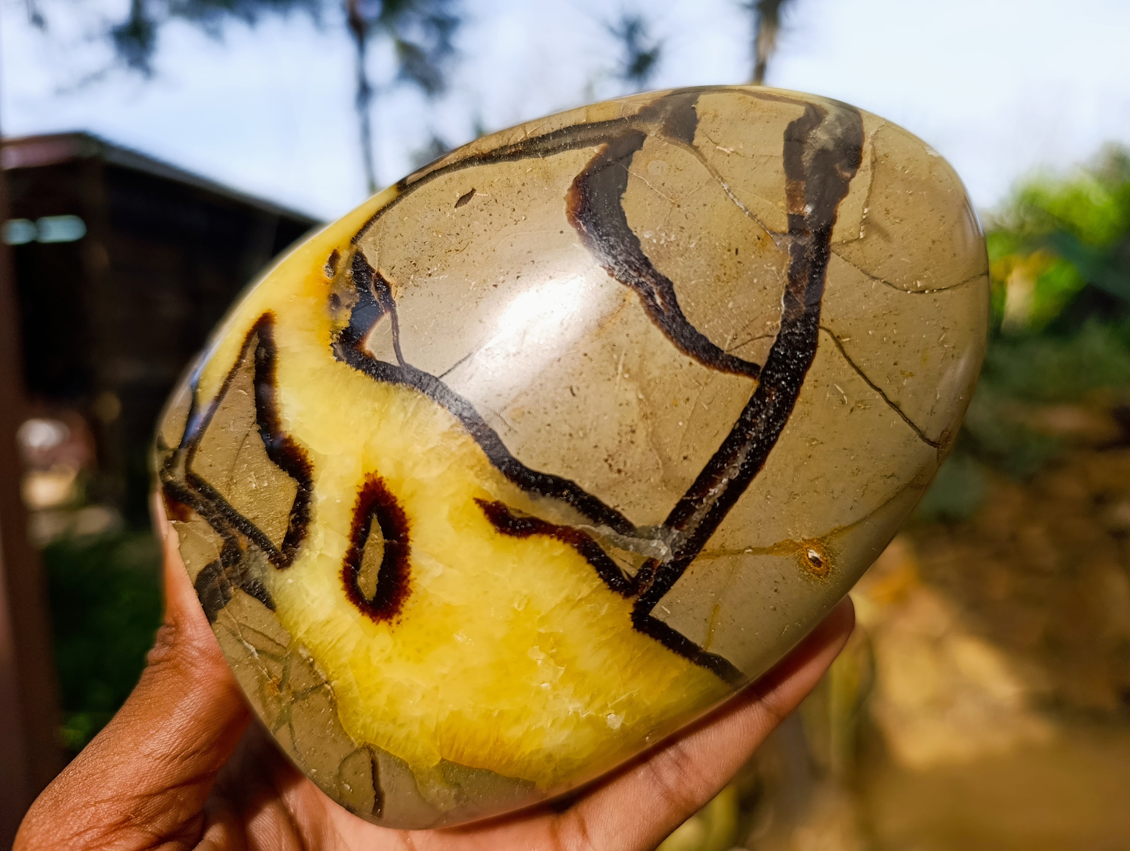 Polished Septerye Standing Free Forms x 2 From Mahajanga, Madagascar - Toprock Gemstones and Minerals 