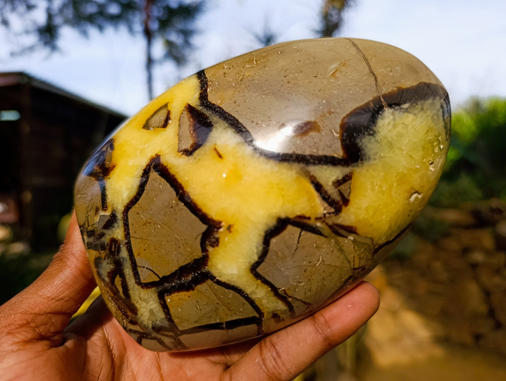 Polished Septerye Standing Free Forms x 2 From Mahajanga, Madagascar - Toprock Gemstones and Minerals 