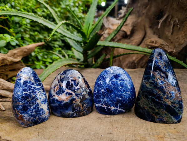 Polished Sodalite Standing Free Forms x 4 From Kunene River, Namibia - Toprock Gemstones and Minerals 