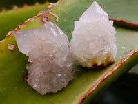 Natural Mixed Spirit Quartz Crystals x 35 From Boekenhouthoek, South Africa - Toprock Gemstones and Minerals 