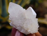 Natural Mixed Spirit Quartz Crystals x 35 From Boekenhouthoek, South Africa - Toprock Gemstones and Minerals 