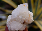 Natural Mixed Spirit Quartz Crystals x 35 From Boekenhouthoek, South Africa - Toprock Gemstones and Minerals 