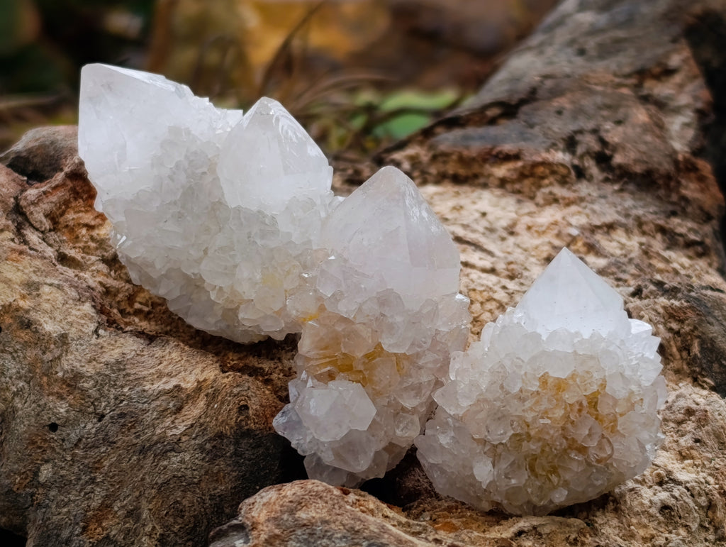 Natural Mixed Spirit Quartz Crystals x 35 From Boekenhouthoek, South Africa - Toprock Gemstones and Minerals 