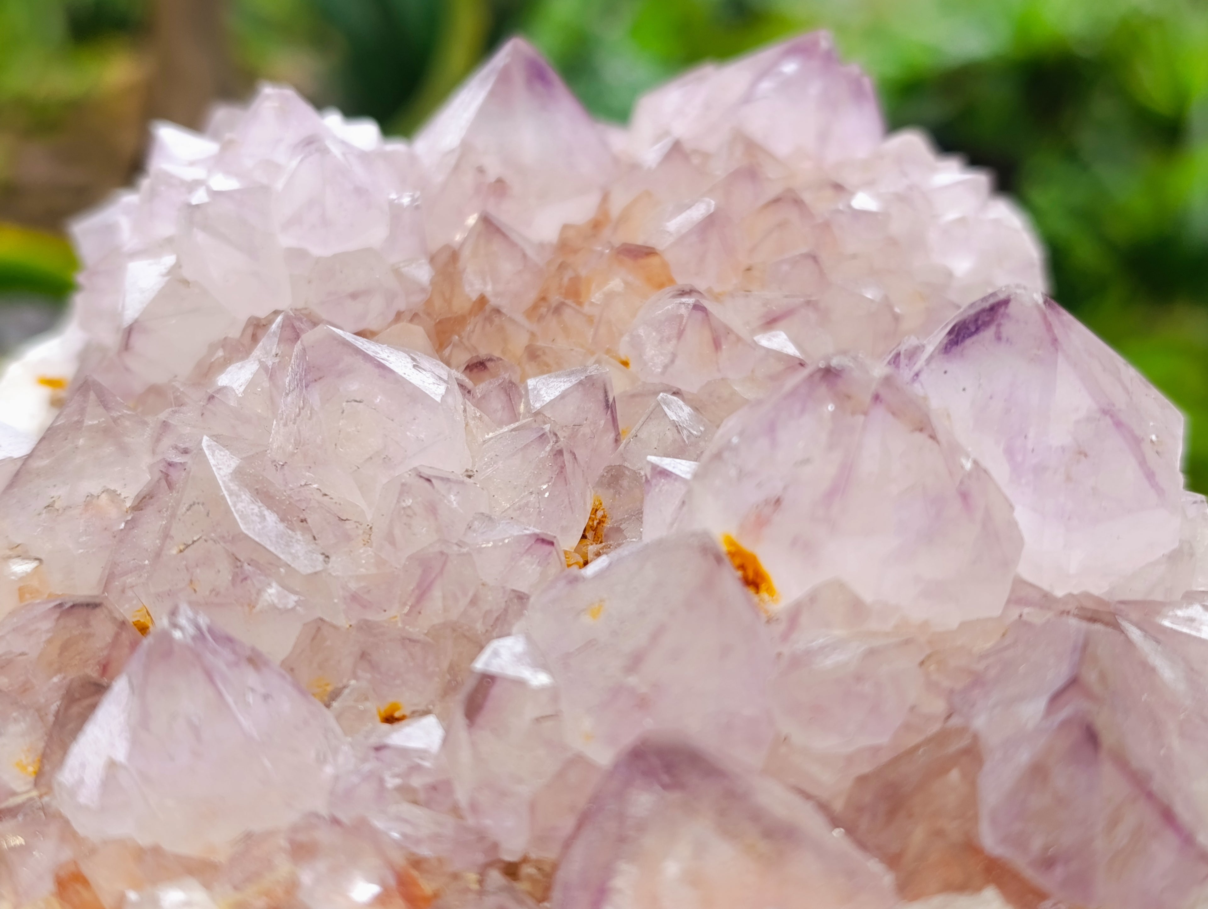 Natural Cactus Flower Smokey Amethyst Spirit Clusters x 2 From South Africa - Toprock Gemstones and Minerals 