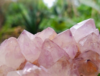 Natural Cactus Flower Smokey Amethyst Spirit Clusters x 2 From South Africa - Toprock Gemstones and Minerals 