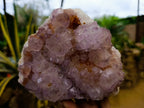 Natural Cactus Flower Smokey Amethyst Spirit Clusters x 2 From South Africa - Toprock Gemstones and Minerals 
