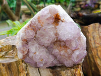 Natural Cactus Flower Smokey Amethyst Spirit Clusters x 2 From South Africa - Toprock Gemstones and Minerals 