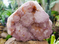 Natural Cactus Flower Smokey Amethyst Spirit Clusters x 2 From South Africa - Toprock Gemstones and Minerals 