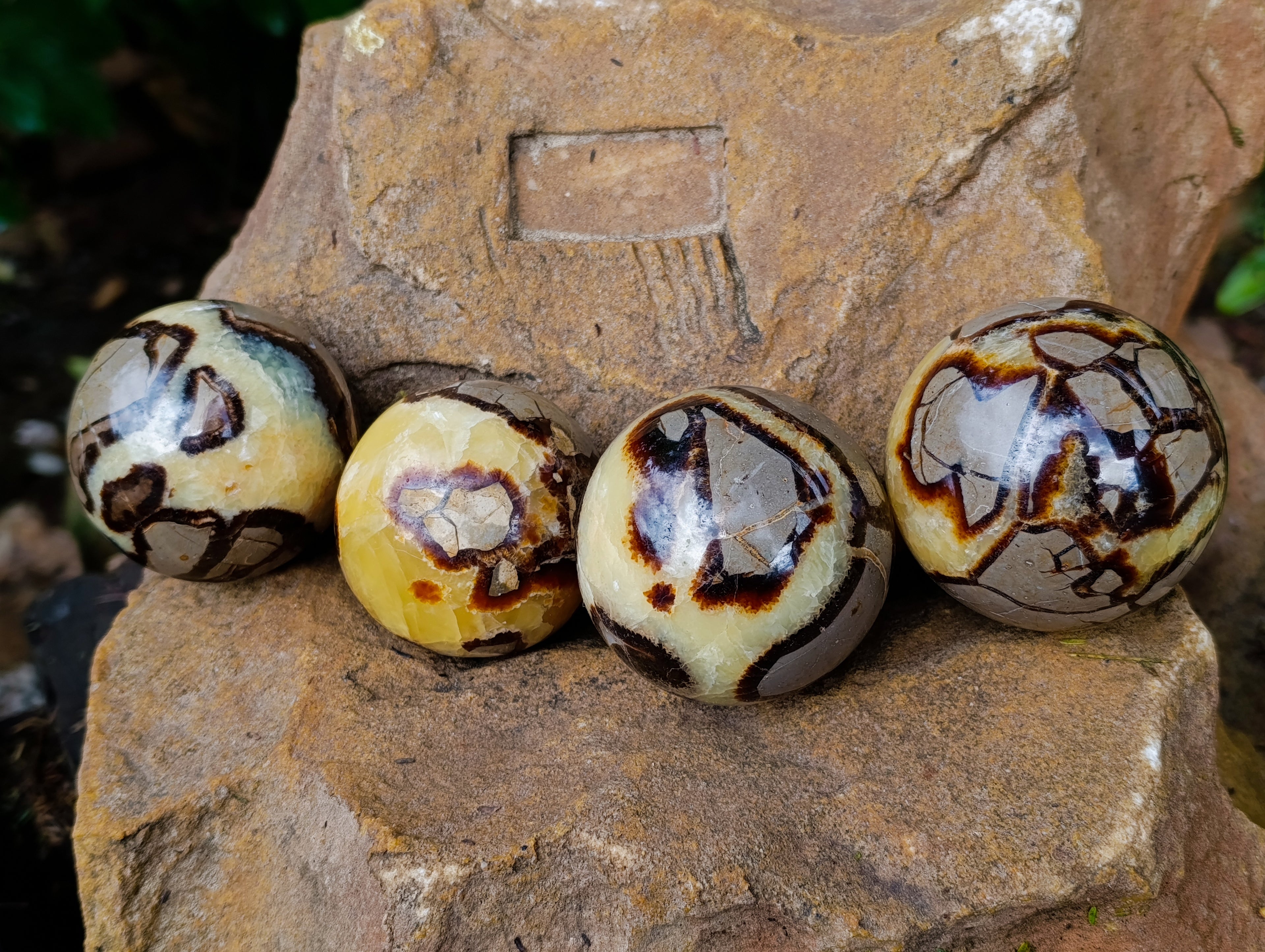 Polished Septerye Spheres x 5 From Mahajanga, Madagascar - Toprock Gemstones and Minerals 