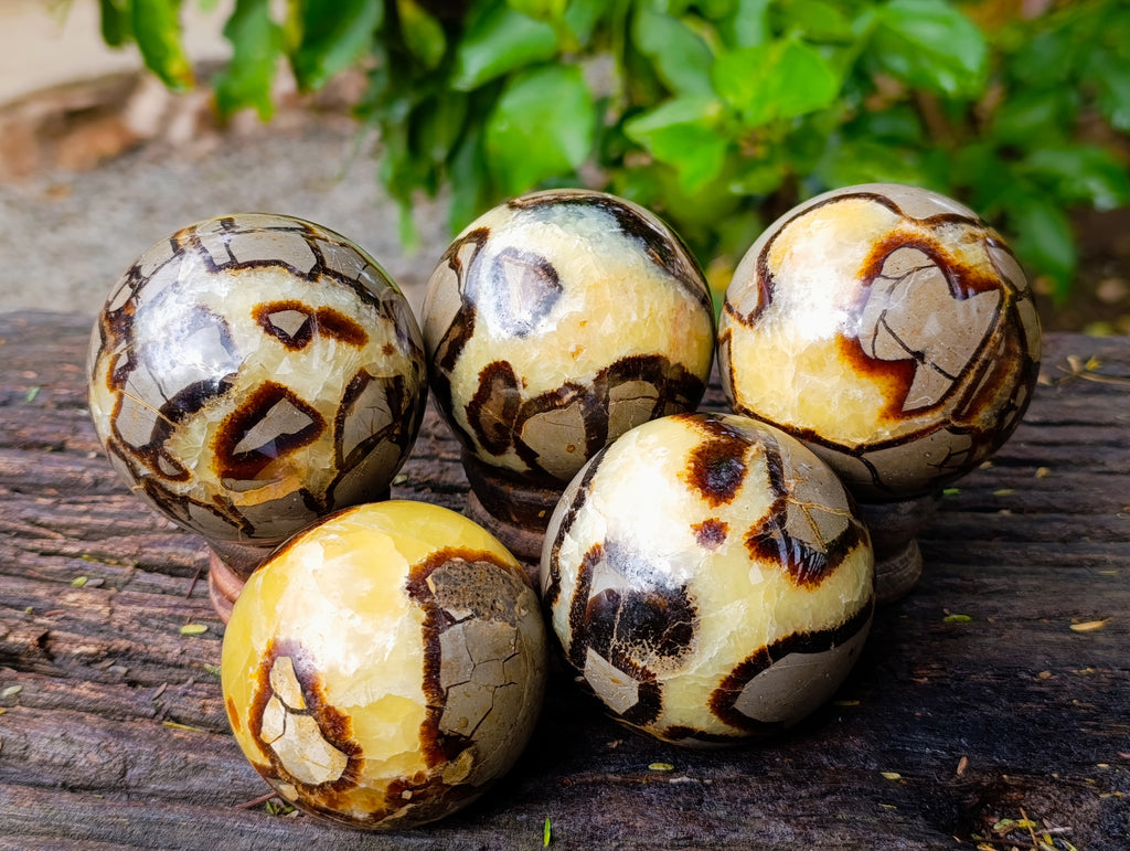 Polished Septerye Spheres x 5 From Mahajanga, Madagascar - Toprock Gemstones and Minerals 