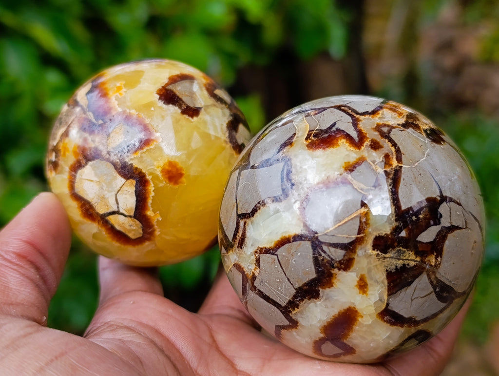 Polished Septerye Spheres x 5 From Mahajanga, Madagascar - Toprock Gemstones and Minerals 